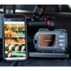 large Micro 3.0 Sealife balidiveshop 5
